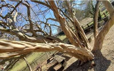 January Jumpstart 2022