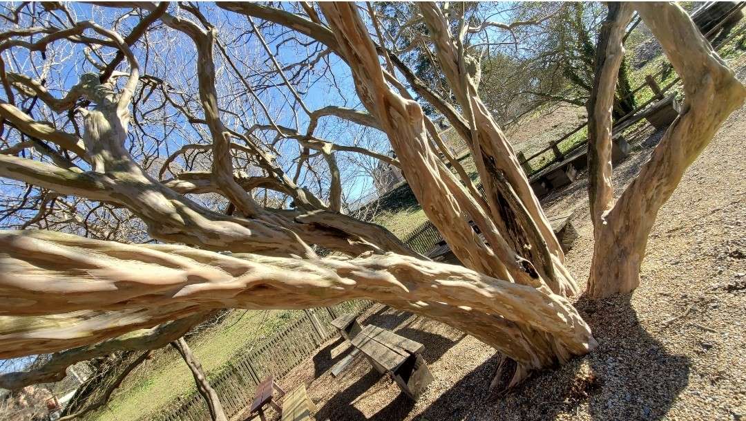 January Jumpstart 2022