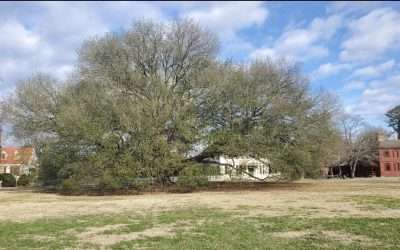 Upcoming Writing Events & Deadlines