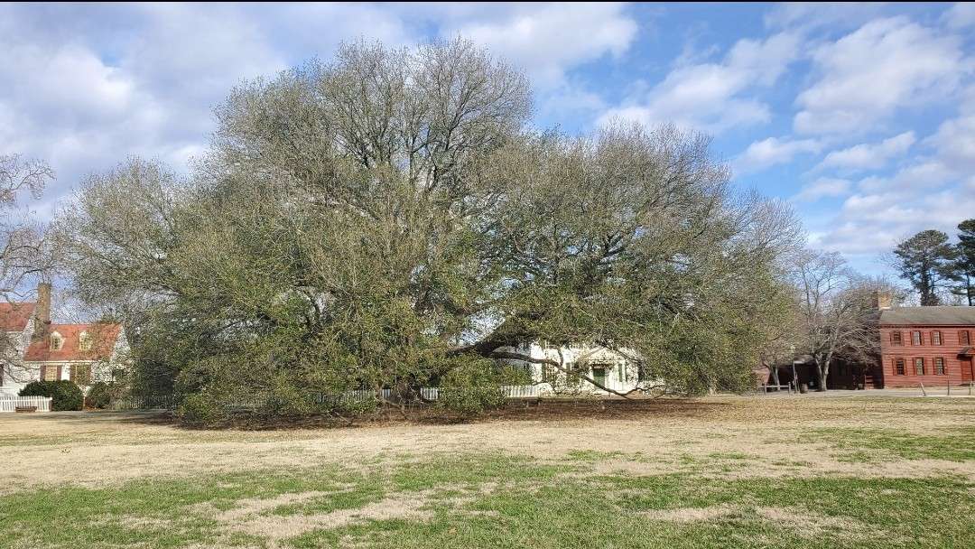 Upcoming Writing Events & Deadlines