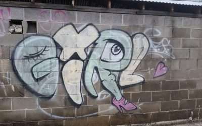 The Body in Your Bed