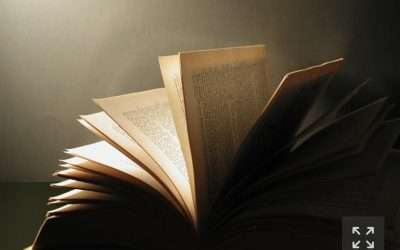 Magic Circle Summer: Diane Zinna Delivers Again