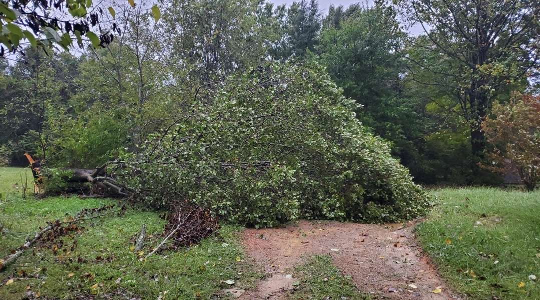 Thousand-Year Floods