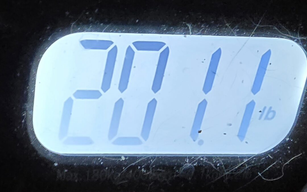 Let’s Get Physical