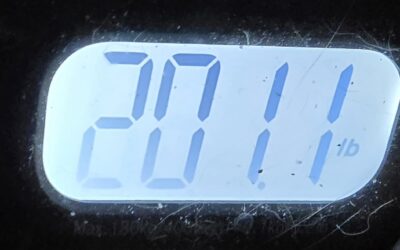 Let’s Get Physical