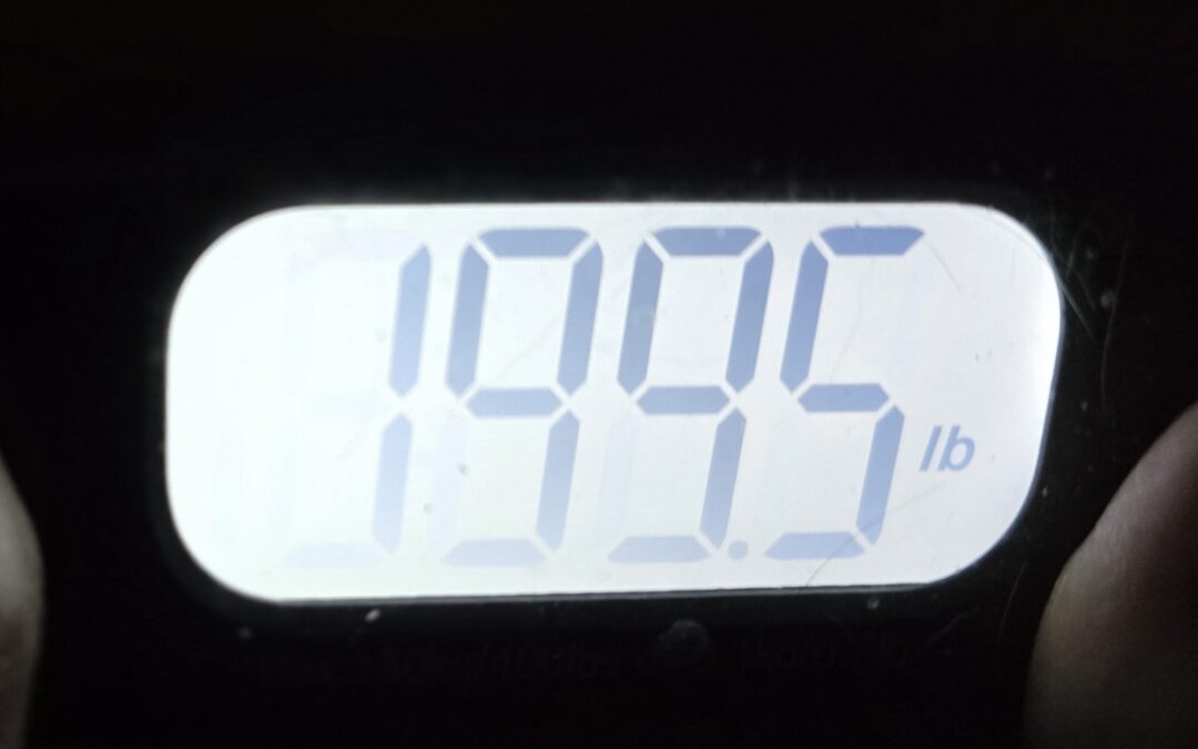 My Body Is a ONE-derland