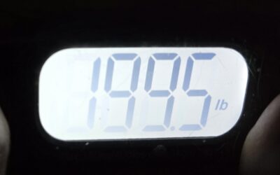 My Body Is a ONE-derland