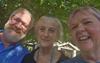 Three-Workshop Summer